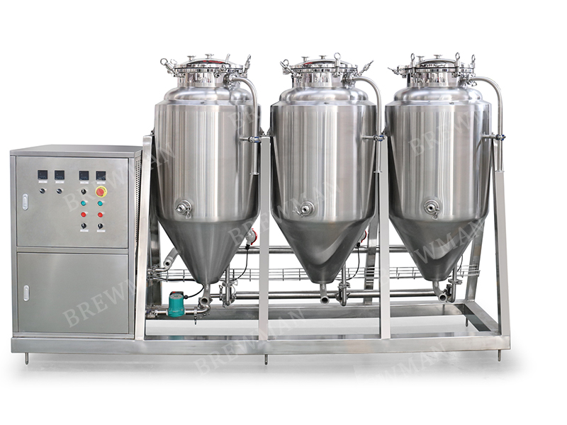 100L 100 litros Electric de 2 buques Buwo Sistema de elaboración de cerveza en venta