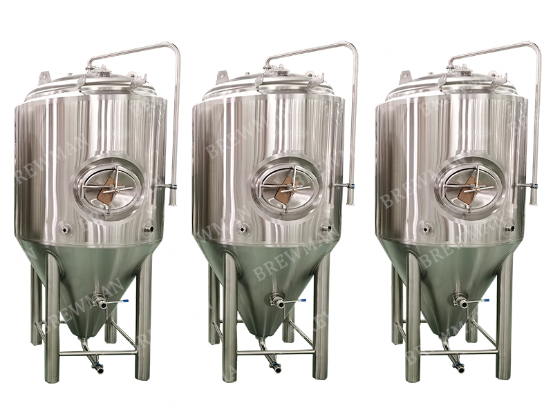 7bbl 2 vasijas Steam Craft Beer Brewing Brewhouse Costo